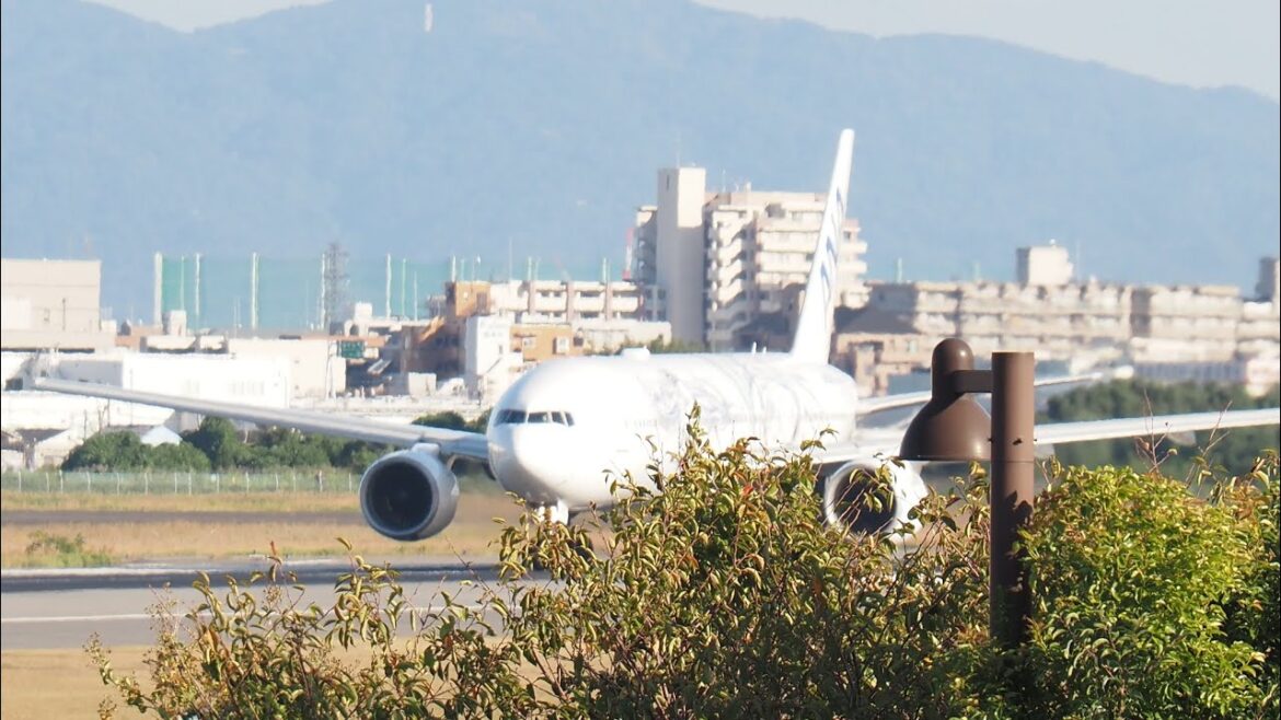 【 LIVE1440p 】伊丹空港の景色　2022/12/18　晴　ライブカメラ配信 ＠osaka japan